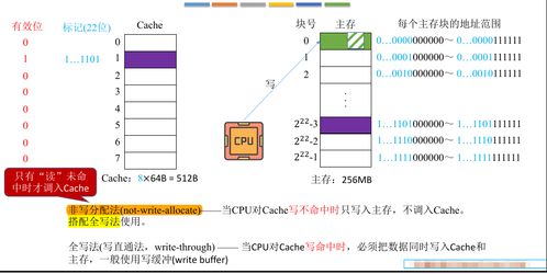 計(jì)算機(jī)組成原理之存儲(chǔ)系統(tǒng) Cache寫(xiě)策略